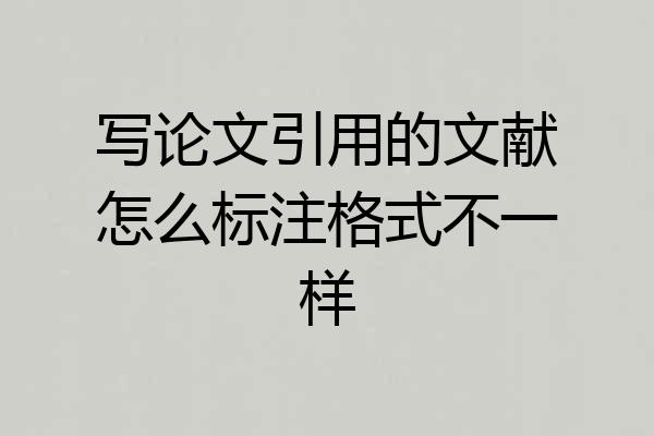写论文引用的文献怎么标注格式不一样