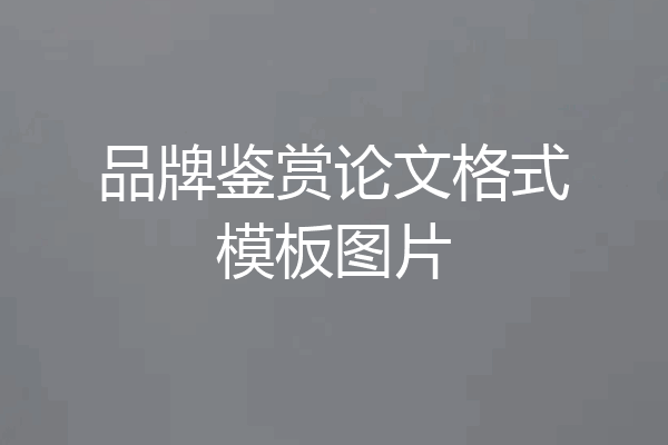 品牌鉴赏论文格式模板图片