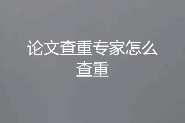 论文查重专家怎么查重