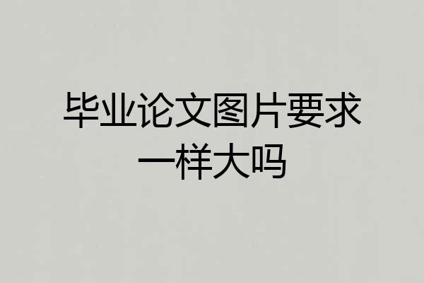 毕业论文图片要求一样大吗