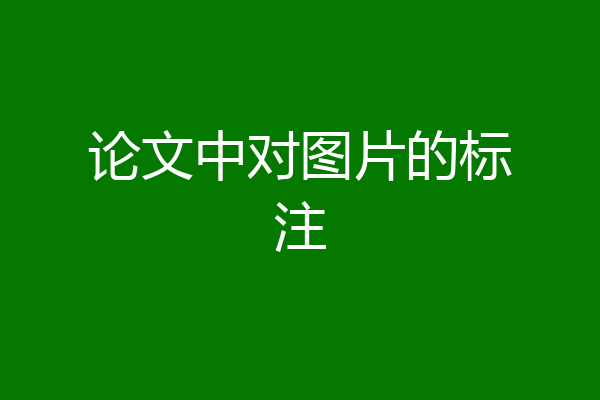 论文中对图片的标注