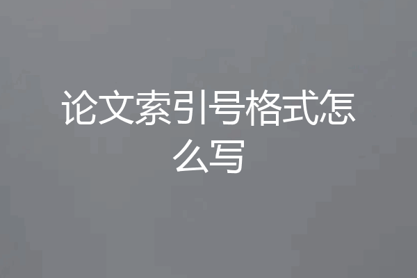 论文索引号格式怎么写