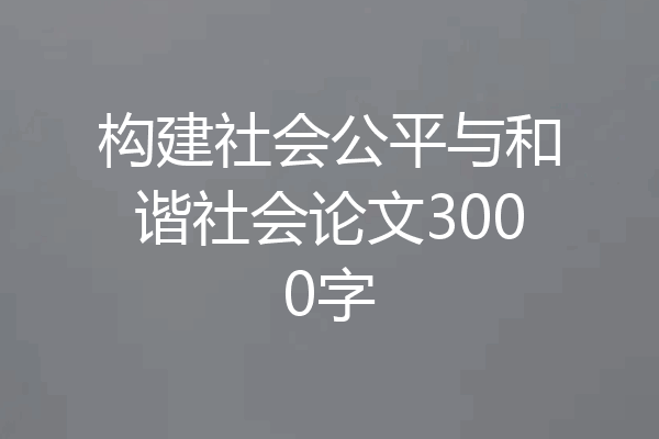 构建社会公平与和谐社会论文3000字