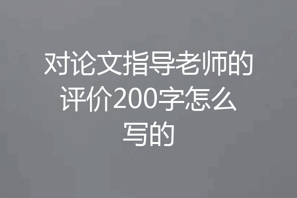 对论文指导老师的评价200字怎么写的