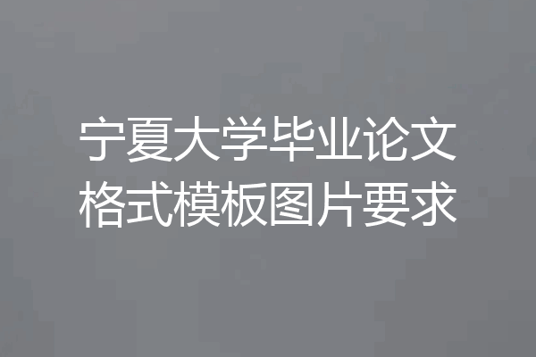 宁夏大学毕业论文格式模板图片要求
