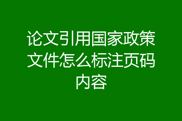 论文引用国家政策文件怎么标注页码内容