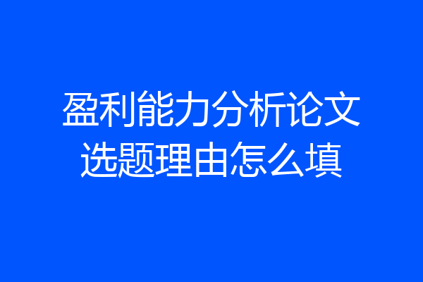 盈利能力分析论文选题理由怎么填