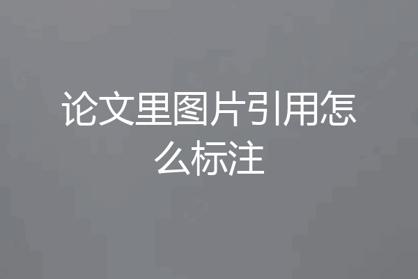 论文里图片引用怎么标注