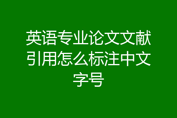 英语专业论文文献引用怎么标注中文字号
