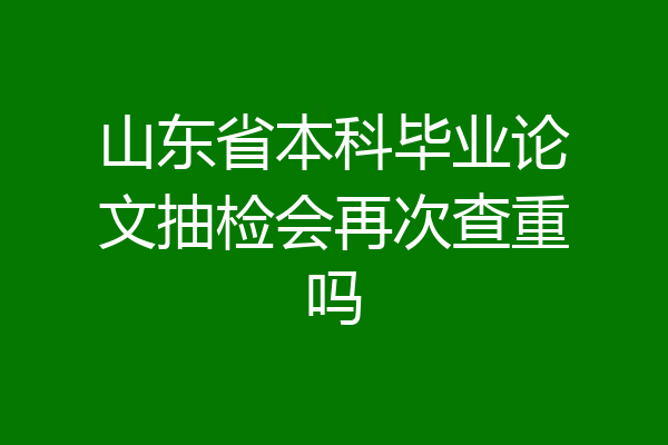 山东省本科毕业论文抽检会再次查重吗