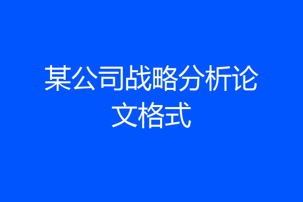 某公司战略分析论文格式