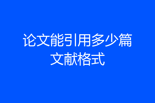 论文能引用多少篇文献格式
