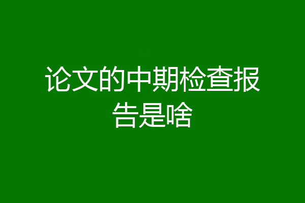 论文的中期检查报告是啥