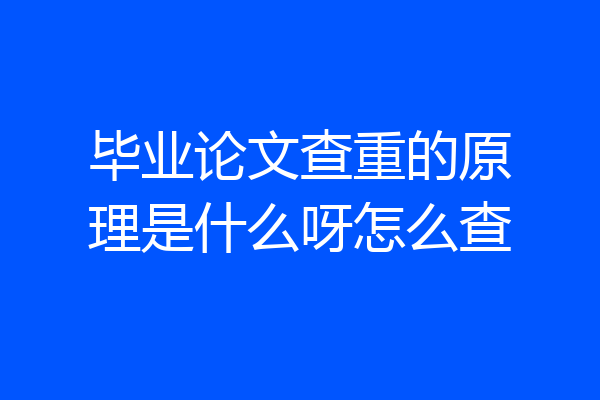 毕业论文查重的原理是什么呀怎么查
