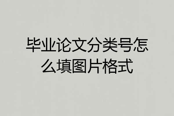 毕业论文分类号怎么填图片格式