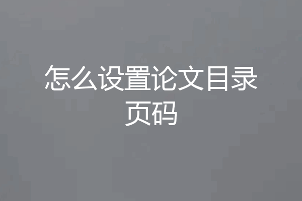 怎么设置论文目录页码
