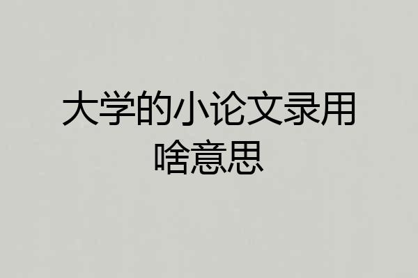 大学的小论文录用啥意思