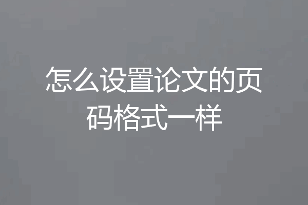 怎么设置论文的页码格式一样