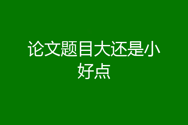 论文题目大还是小好点
