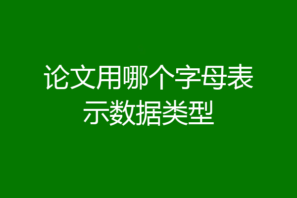 论文用哪个字母表示数据类型