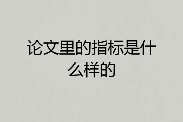 论文里的指标是什么样的