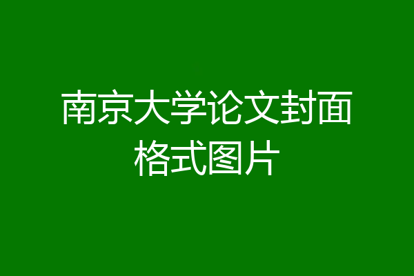 南京大学论文封面格式图片