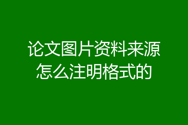 论文图片资料来源怎么注明格式的
