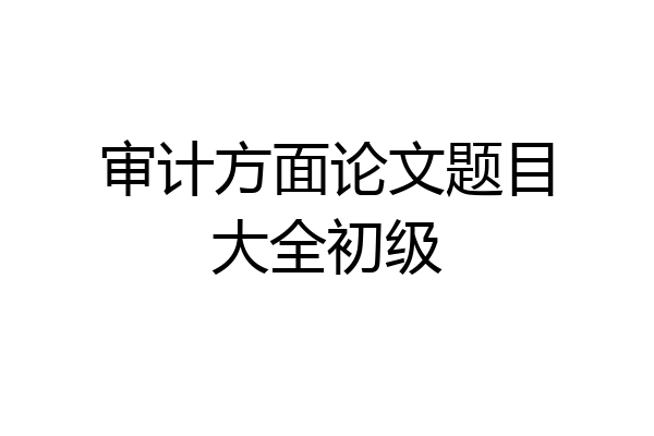 审计方面论文题目大全初级