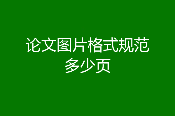 论文图片格式规范多少页