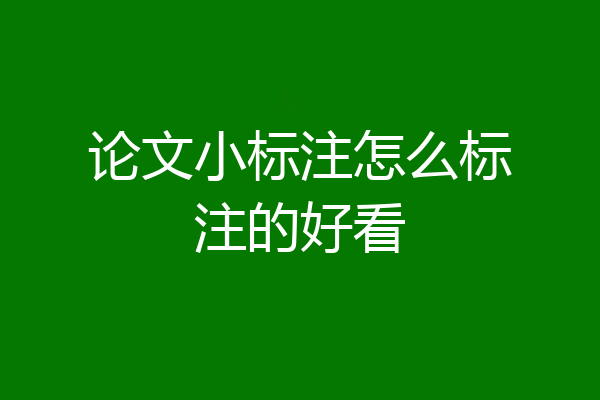 论文小标注怎么标注的好看