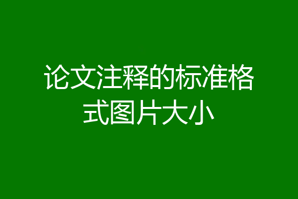 论文注释的标准格式图片大小