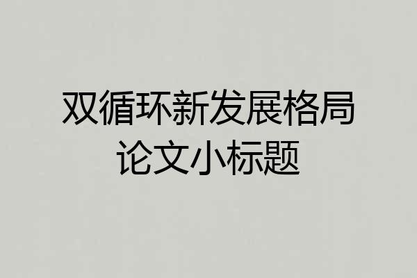 双循环新发展格局论文小标题