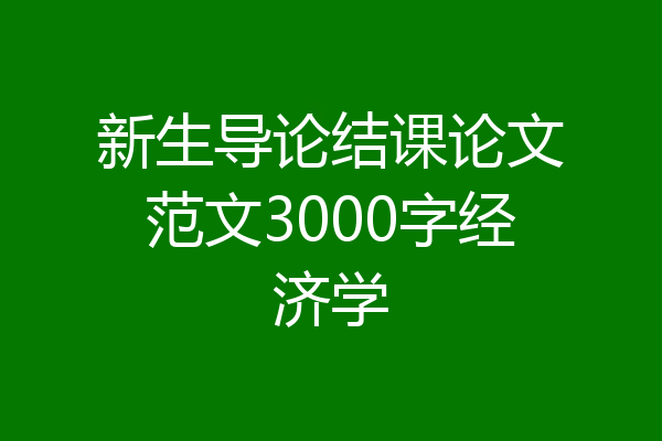 新生导论结课论文范文3000字经济学