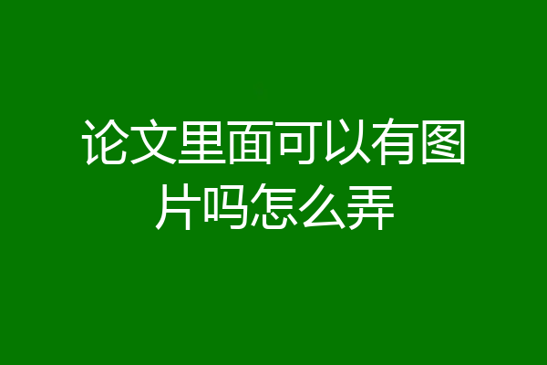 论文里面可以有图片吗怎么弄