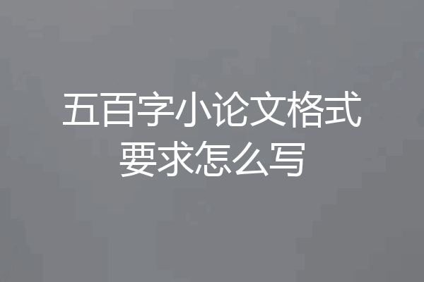 五百字小论文格式要求怎么写