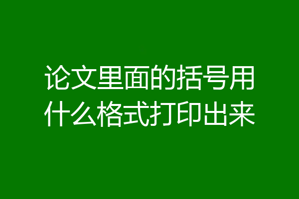 论文里面的括号用什么格式打印出来