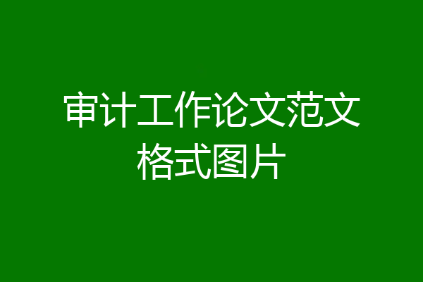 审计工作论文范文格式图片