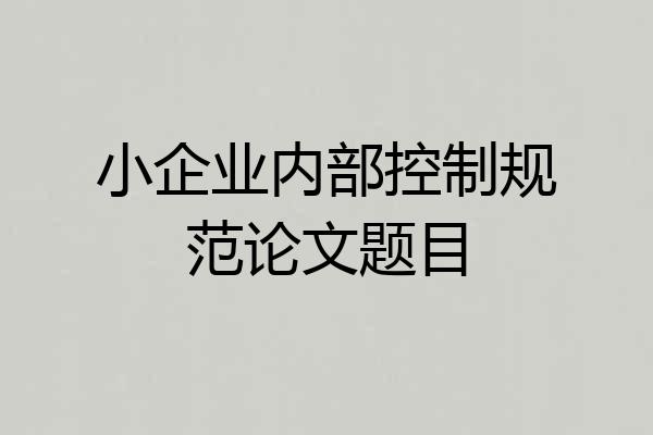 小企业内部控制规范论文题目