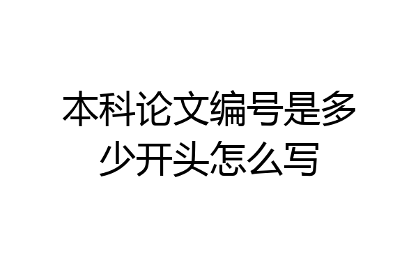 本科论文编号是多少开头怎么写