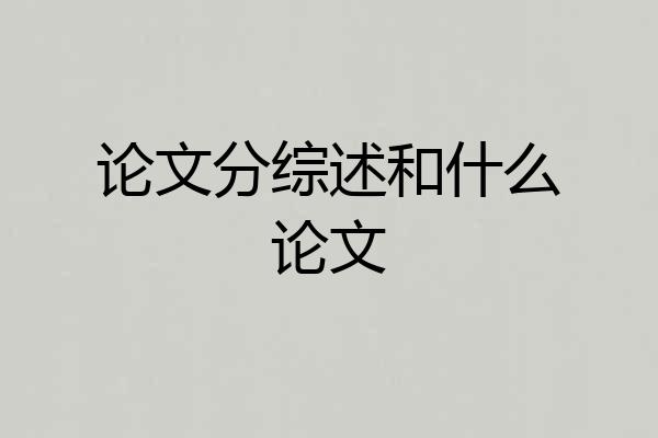 论文分综述和什么论文