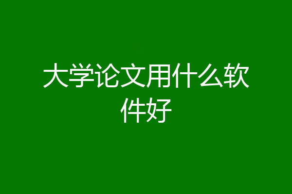 大学论文用什么软件好