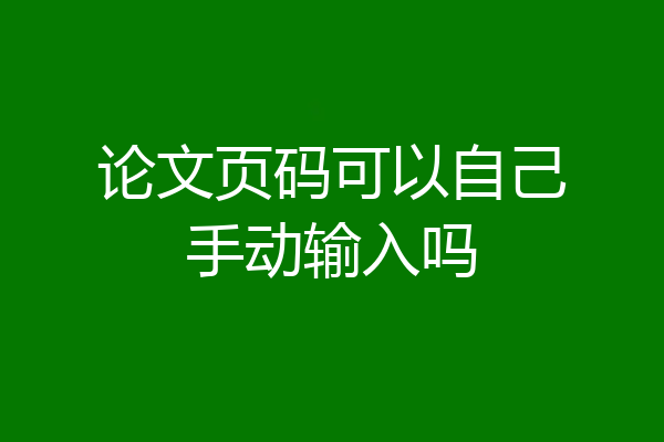 论文页码可以自己手动输入吗