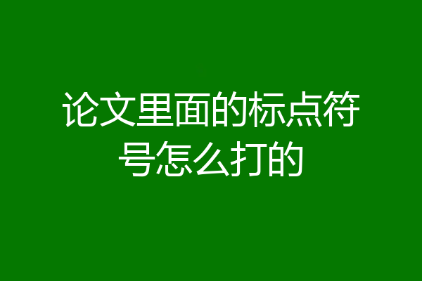 论文里面的标点符号怎么打的