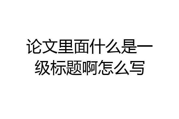论文里面什么是一级标题啊怎么写
