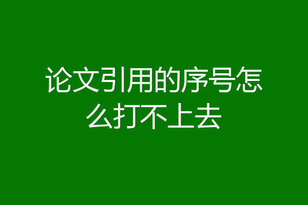 论文引用的序号怎么打不上去