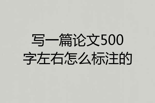 写一篇论文500字左右怎么标注的