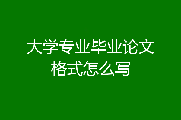 大学专业毕业论文格式怎么写
