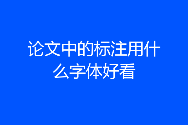 论文中的标注用什么字体好看