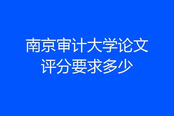 南京审计大学论文评分要求多少
