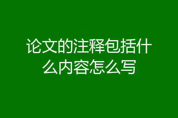 论文的注释包括什么内容怎么写